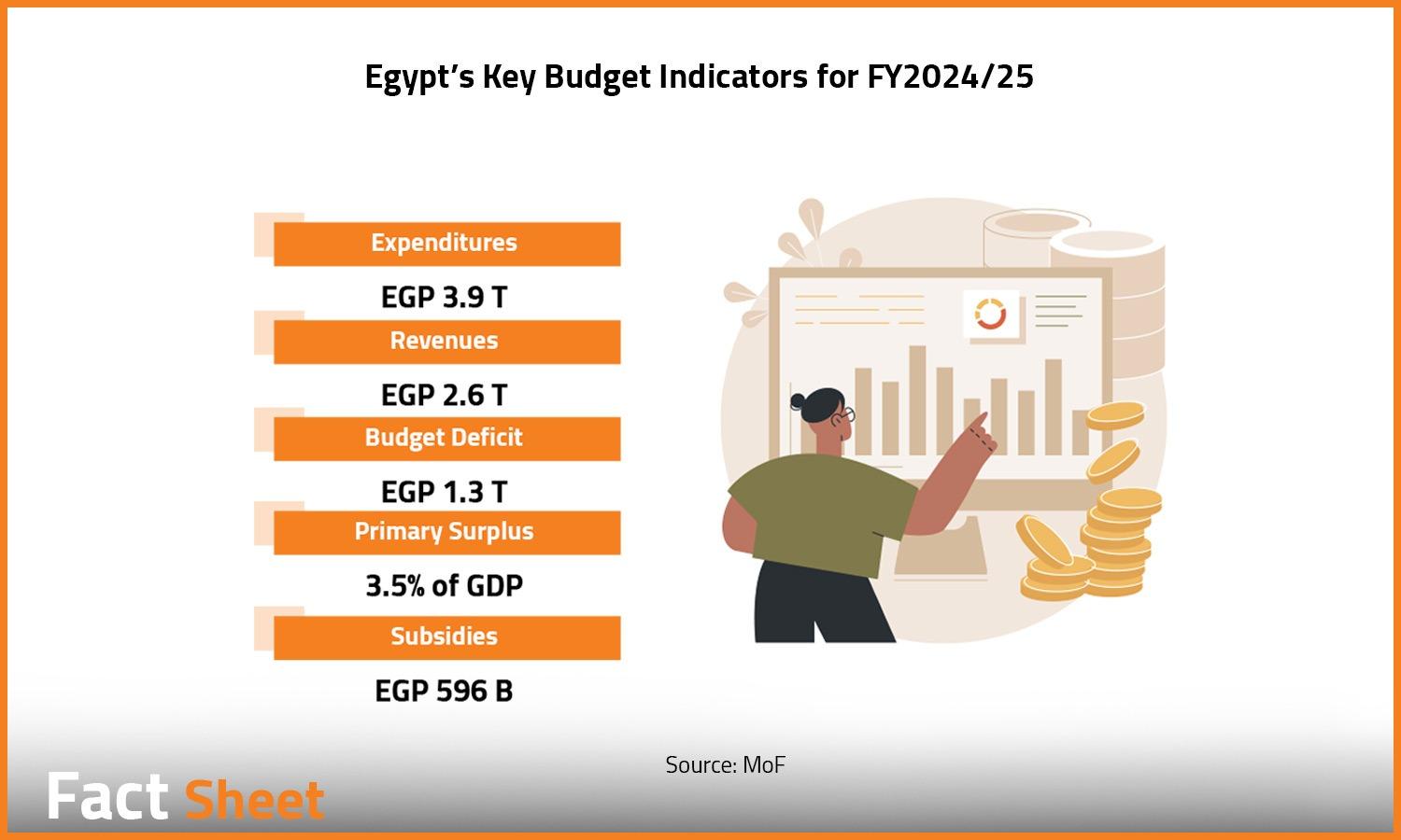 Reviewing Egypt’s Government Budget Key Indicators for FY2024/25